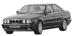 BMW E34 P081D Fault Code